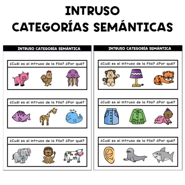 INTRUSO CATEGORIA SEMÁNTICA