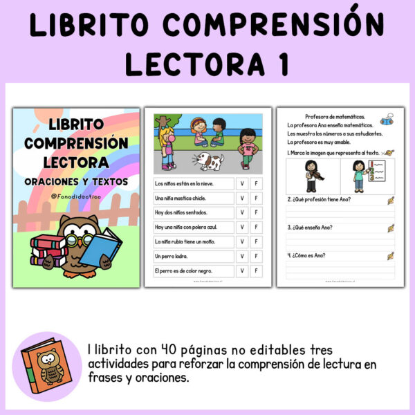 LIBRITO COMPRENSIÓN LECTORA1